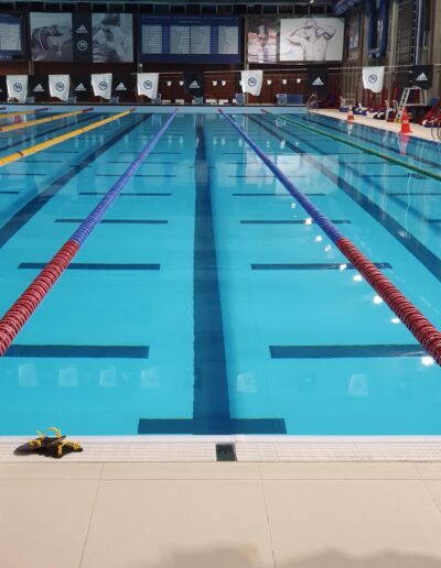 ‘People’s lives are in our hands’: A dive into competition lifeguards