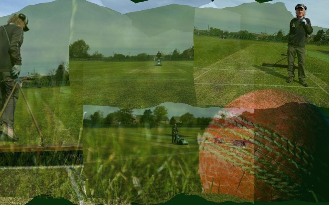 How climate change is rewriting cricket groundskeeping