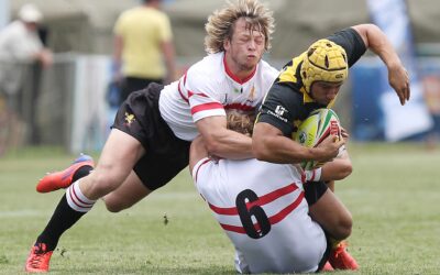 “You only get one brain”: concussion in sport